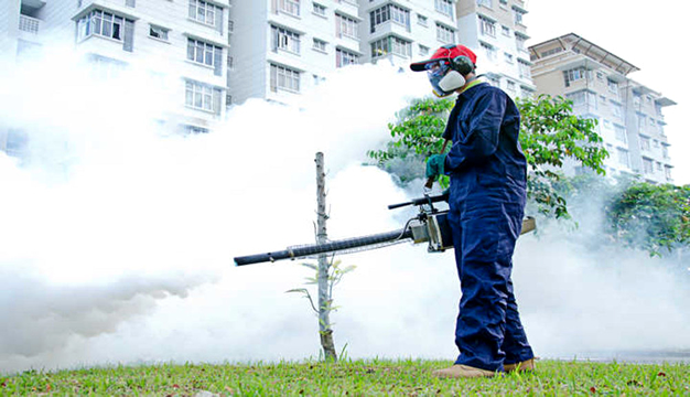 Dedetização de Percevejos em Campinas